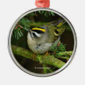 モミの中で大騒ぎを引き起こす可愛いキングレット・ソンバード メタルオーナメント (正面)