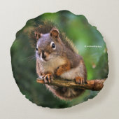 モミの中の可愛い生意気な赤リス ラウンドクッション (裏面)