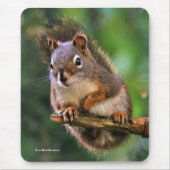 モミの木に生えた生意気な赤いリス マウスパッド (正面)
