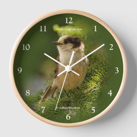 モミの木の可愛いグレーのジェイWhiskeyjack松の鳥 壁時計 (正面)