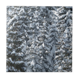 モミの木の雪のテクスチャー タイル