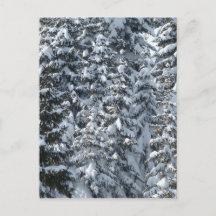 モミの木の雪のテクスチャー