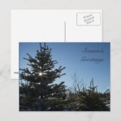 モミの木を通って来る日曜日-季節の挨拶 シーズンポストカード (正面/裏面)