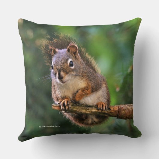 モミの生意気な赤リス クッション (裏面)