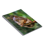 モミの生意気な赤リス ノートブック (右側)