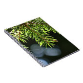 モミの《写真》ぼけ味 ノートブック (右側)