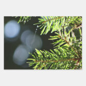 モミの《写真》ぼけ味 ラッピングペーパーシート (正面3)