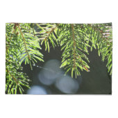 モミの《写真》ぼけ味 枕カバー (裏面)