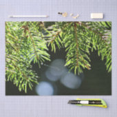 モミの《写真》ぼけ味 薄葉紙 (クラフト)