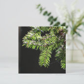 モミ カード (スタンド正面)