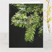 モミ カード (黄色い花)