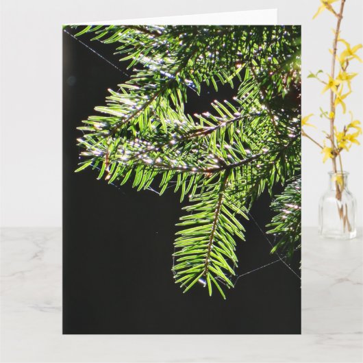 モミ カード (黄色い花)