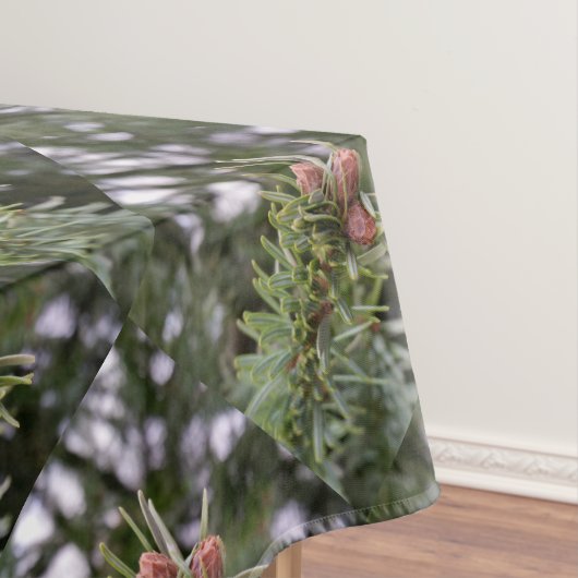 モミ テーブルクロス (インサイチュ)