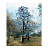 モミ フォトプリント            (正面)