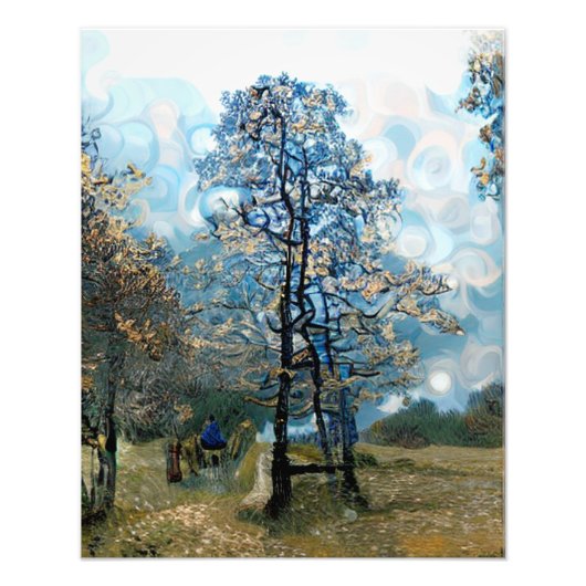 モミ フォトプリント            (正面)