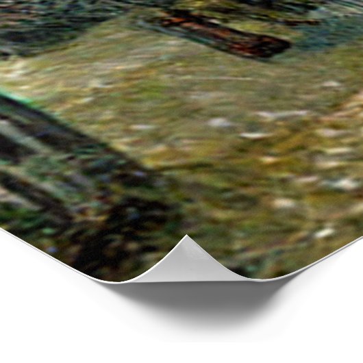 モミ ポスター (角)