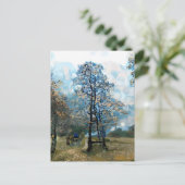 モミ ポストカード (スタンド正面)