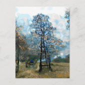 モミ ポストカード (正面)