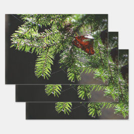 モミ ラッピングペーパーシート