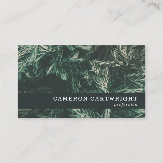 モミ 名刺 (正面)