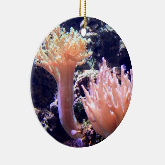 モモのピンクの珊瑚のクリスマスツリーのオーナメント セラミックオーナメント (右)