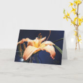 モモのワスレグサの挨拶状 カード (黄色い花)