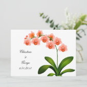 モモの招待を結婚しているピンクのコチョウランの蘭 招待状 (スタンド正面)