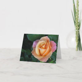 モモばら色のNotecard カード