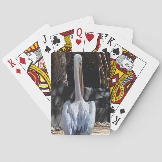 モモイロペリカンのトランプ トランプ (裏面)