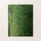 モモモモモモモモモモモモモモモモモモモモモモモモグ効果 ジグソーパズル (縦)