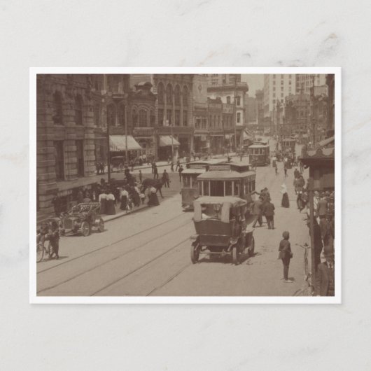 モモ木の通り ポストカード (正面)