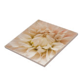 モモ、ピンク、白、及びクリーム色のダリア-ダリア タイル (側面)