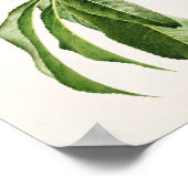 モモ(プルーナス・ペルシカ)フルーツの水の色絵画のズ ポスター (角)