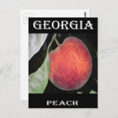 モモ ポストカード (正面/裏面)