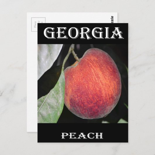 モモ ポストカード (正面/裏面)