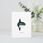 モラモラ ポストカード (スタンド正面)