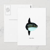 モラモラ ポストカード (正面/裏面)