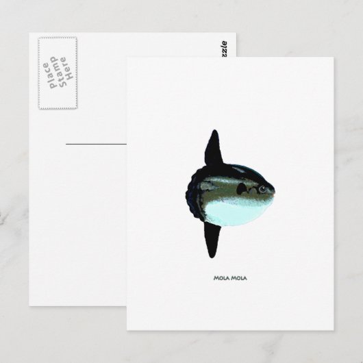 モラモラ ポストカード (正面/裏面)