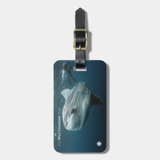 モラモラ ラゲッジタグ (正面縦)