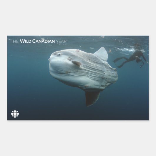 モラモラ 長方形シール (正面)