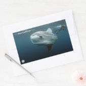 モラモラ 長方形シール (封筒)