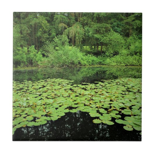 モララリバー州パーク、キャンビー、オレゴン タイル (正面)