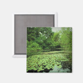 モララ川州立公園のスイレンの浮葉 マグネット (正面/裏面)