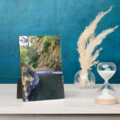 モララ川、または フォトプラーク (側面)