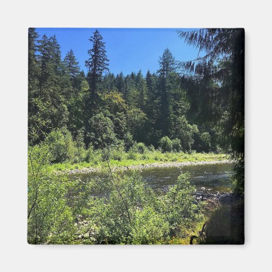 モララ川、または マグネット (正面)