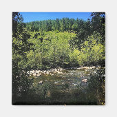 モララ川、または マグネット (正面)