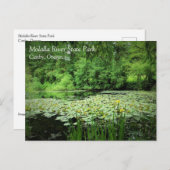 モラリバー州パーク、キャンビーオレゴン葉書 ポストカード (正面/裏面)