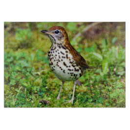 モリツグミの装飾的なガラスまな板 カッティングボード