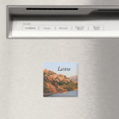 モリボス マグネット (インサイチュ (食洗機))