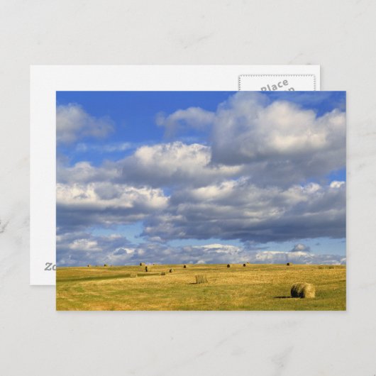モリル郡ネブラスカ州アメリカ合衆国黄金の干し草 ポストカード (正面/裏面)